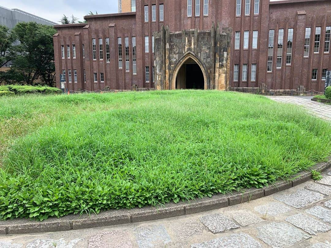 砂川信哉さんのインスタグラム写真 - (砂川信哉Instagram)「久々に大学行ったらすげえ草生えてた」7月30日 15時29分 - sngw22