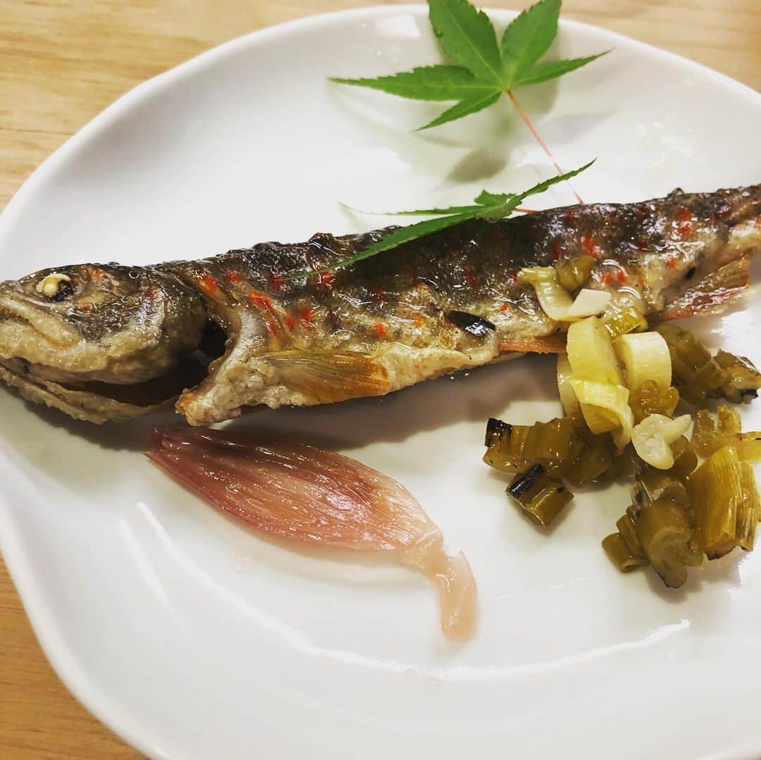 中村譲のインスタグラム：「加古川の老舗の寿司屋「すし操」 #寿司 #老舗  #加古川  #加古川グルメ  #sushi  #sushilovers」