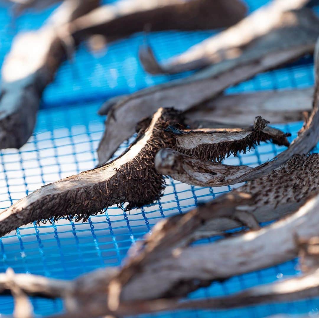 山人のグルメインスタ