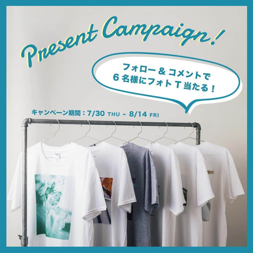 のインスタグラム：「✨フォロー＆コメントでフォトT当たる！✨﻿ ﻿ ６人のクリエイターが作った「この夏着たいオリジナルフォトTシャツ」をプレゼント！﻿ ﻿ ［参加クリエイターのみなさま］﻿ ﻿ ●高木慎平さん(@shimpei65 )﻿ ●口尾麻美さん(@asamikuchio )﻿ ●キムヤンスさん(@yansukim )﻿ ●エイドリアン・ホーガンさん(@adehogan )﻿ ●鈴木優香さん(@mountaincollector )﻿ ●やなぎさわごうさん(@boku_shimaenaga )﻿ ﻿ @fujifilmjp_walldecor をフォロー＆投稿へのコメントで応募完了！奮ってご応募ください！﻿ ﻿ ﻿ ＝＝＝＝応募方法＝＝＝＝﻿ ﻿ ①「写真と、ちょっといい暮らし。」Instagram（ @fujifilmjp_walldecor ）をフォロー。﻿ ②ご希望のTシャツの投稿にコメント。﻿ ﻿ ※応募期間：2020年7月30日（木）～8月14日（金） ﻿ ※抽選の上、各1名様にプレゼント。﻿ ※結果発表は当選者にInstagramのダイレクトメッセージでご連絡致しますので（8月下旬予定）、アカウント（ @fujifilmjp_walldecor ）を必ずフォローしてください。フォローをはずされておりますとご連絡ができなくなりますのでご注意ください。﻿ ※サイズは、Mサイズ（鈴木さん、キムヤンスさん、やなぎさわごうさん）、Lサイズ（口尾さん、高木さん、エイドリアン・ホーガンさん）。﻿ ﻿ 記事はプロフィールURLからどうぞ▶ @fujifilmjp_walldecor  ﻿ #写真とちょっといい暮らし #fujifuilm #富士フイルム #インテリア #photography #art #おうち時間 #写真 #写真を飾る #写真好きな人と繋がりたい #オリジナルギフト #オリジナルグッズ  #Tシャツ #オリジナルTシャツ #夏 #夏休み #プレゼント #Tシャツプレゼント #プレゼントキャンペーン#キャンペーン #グラフィックTシャツ #フォトシャツ#フォトT #白T #プレゼント企画﻿」