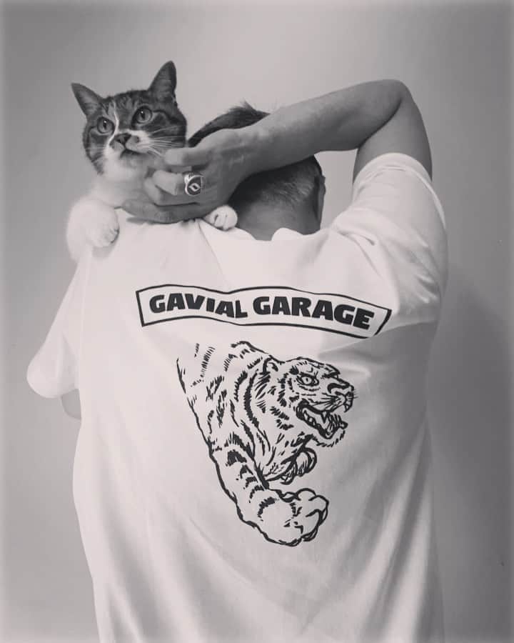 イマイアキノブのインスタグラム：「ꘜ傑作Tシャツ再入荷 予約受付中だってよ GAVIAL GARAGE “TIGER”Tee @gavials_informer   #gavialgarage  #imaiakinobu  #イマイアキノブ」