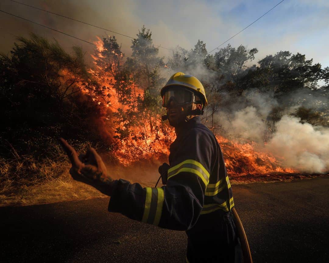 のインスタグラム：「AFP Photo 📷 @miguelriopa - Firefighters try to extinguish a wildfire in the village of San Cristobal near Monterrey on July 29, 2020.」