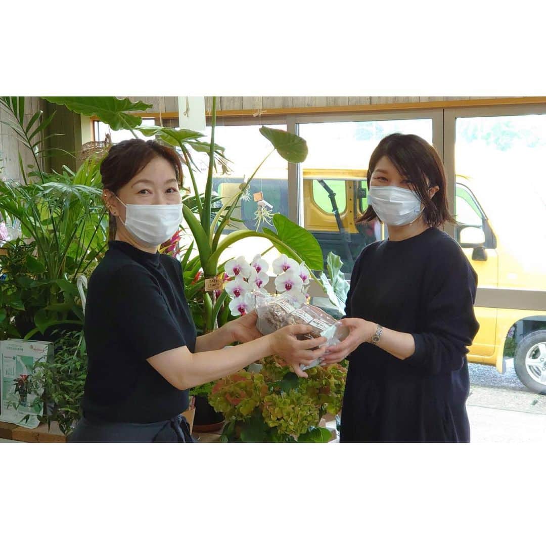 小林樓《新潟県見附市：結婚式場》のインスタグラム：「小林樓パートナー企業の皆様が﻿ 繋いでくださっている『想いのバトン』。﻿ 今回は池上花屋さんに代わり、小林樓から発信をさせていただきます♡﻿ ﻿ ﻿ 小林樓がいつもお世話になっている花屋さんはリアンさんと池上花屋さんの2軒。﻿ その花屋さんから花屋さんへ、想いのバトンが繋がりました。﻿ ﻿ 違う店舗ではありますが、新郎新婦様の想いを叶えるという1番大切にしている想いは一緒です。﻿ 相談したり協力し合う姿を見て、いつもこちらが刺激をもらっています。﻿ ﻿ 「このお菓子の色彩の様に色鮮やかな気持ちでスタッフ皆んなと頑張ります。」﻿ お写真とともに、力強い想いを伝えてくださいました。﻿ ハレの日に向けて、これからも一緒に前を向いて進んでいきましょう(^^)   #小林樓#マリアージュタカラ#oka美容室#peapleisland#hairmakemoq#ブライダルハウス新潟#びんしょう#flower_shop_liens#池上花屋#コロナに負けない#想いのバトン#ブライダル　#新郎新婦#結婚式#負けるなちーむ2020」