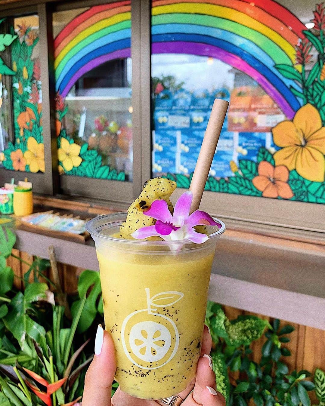 草野春香のグルメインスタ