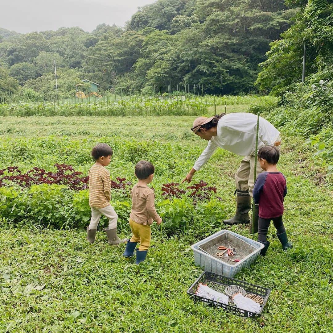 中川珠里さんのインスタグラム写真 - (中川珠里Instagram)「.﻿ 初めての農業体験👨‍🌾 inショクヤボ農園﻿ ﻿ ﻿ 気持ち良かったなぁ🍃﻿ 凄く素敵なところ。﻿ ﻿ けんぴ&てっちゅもいたから﻿ 1日ハイテンションで良かった☺️﻿ 半分は虫ツアーだったかな❔笑﻿ ﻿ #ショクヤボ農園﻿ #秋谷」7月30日 18時17分 - juri1104