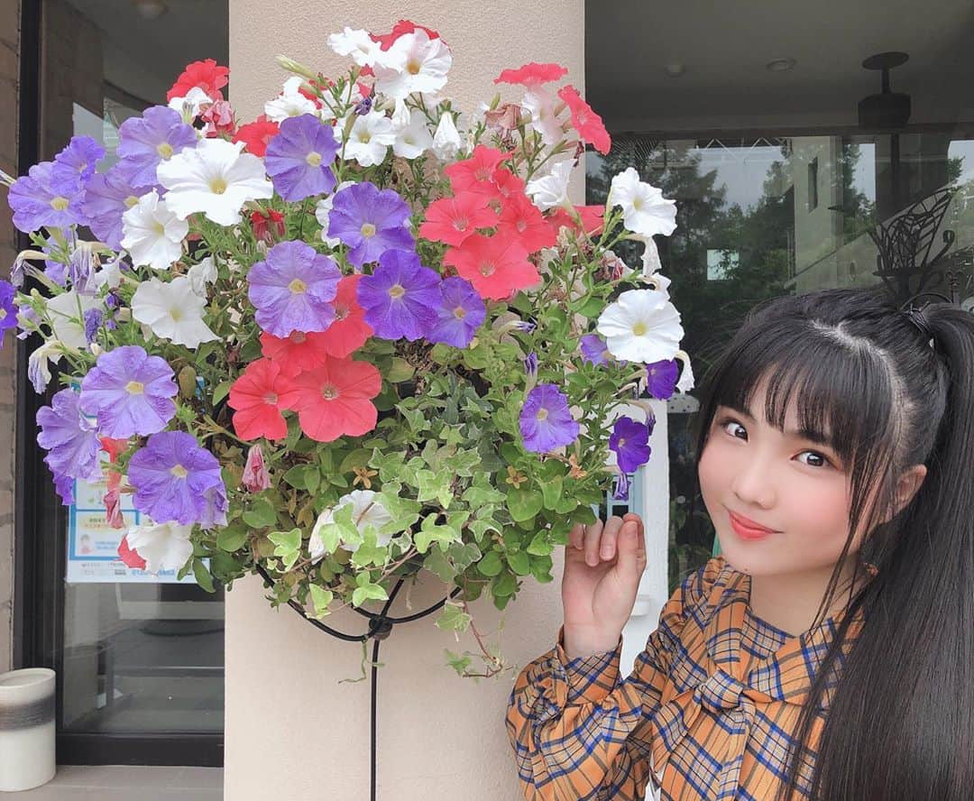 北川愛乃さんのインスタグラム写真 - (北川愛乃Instagram)「鮮やかなお花を 見つけましたー♪(*˘︶˘*).｡*🌸  とっても綺麗だなぁ〜☺️  #ske48のバズらせます‼︎  #ガーデンキッチンフラリエ さん #flower #ソーユートコあるよね ？ #衣装」7月30日 18時17分 - kitagawayoshino