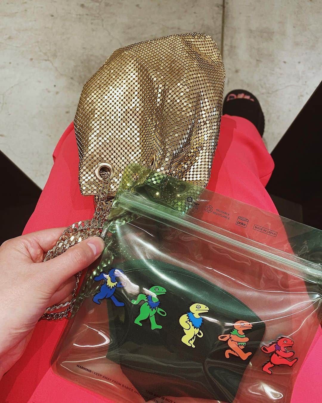 持永真実さんのインスタグラム写真 - (持永真実Instagram)「. マスクそのままバッグに入れるの衛生的に良くなさそうだから @pake.jp に入れてる🙂 恐竜🦕🦖かわいくてお気に入り💗」7月30日 18時30分 - mami_mochinaga