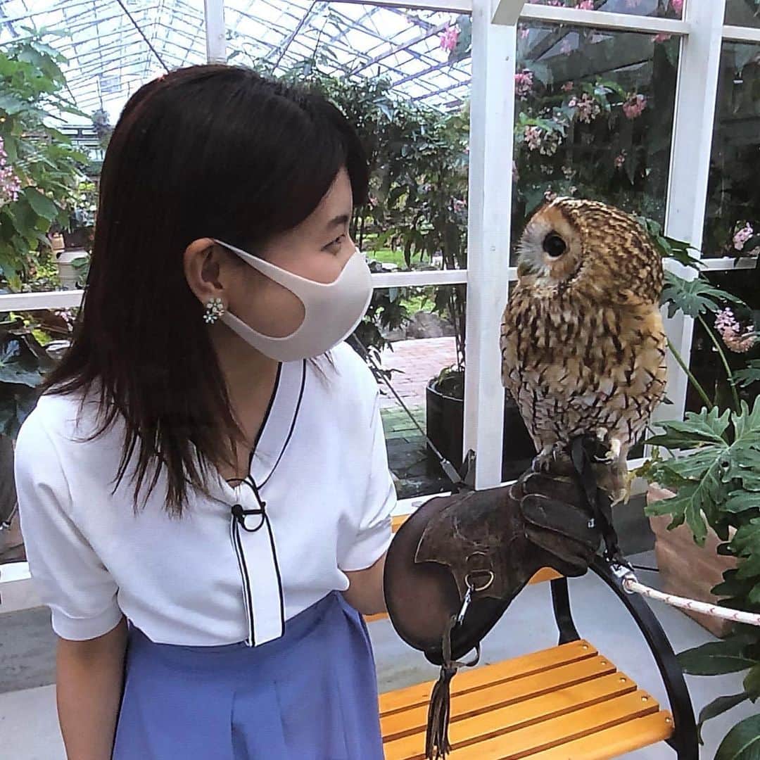 東條麻依子のインスタグラム