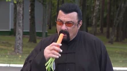ブレッキン・メイヤーのインスタグラム：「Hi. During this very difficult 2020, please enjoy Steven Seagal Eating a Carrot and Steven Seagal Eating a Carrot WITH Assistance (I think). #SeagalVsCarrot #HardToPeel #OhAndWearAMask」