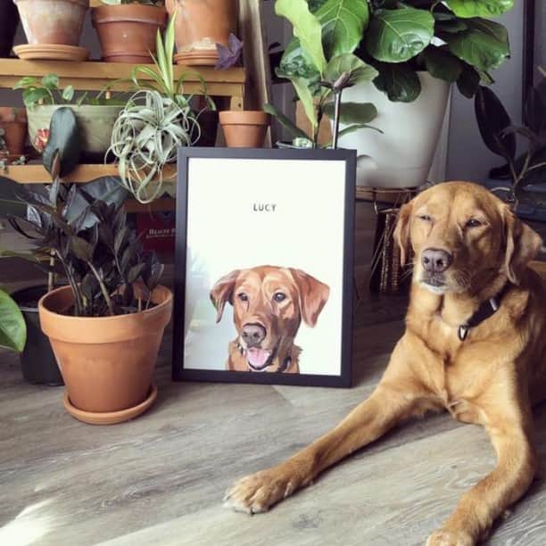 HGTVさんのインスタグラム写真 - (HGTVInstagram)「If your camera roll is filled with your favorite moments with your pet (or maybe just of them sleeping), turn the photos into prints or artwork with these shops that make cute custom pet portraits. 🐶 🐱⁠ ⁠ Head to the link in our bio to gift to a loved one or snag one for yourself.⁠ ⁠ #pets #petportrait #petlovers」7月31日 6時01分 - hgtv