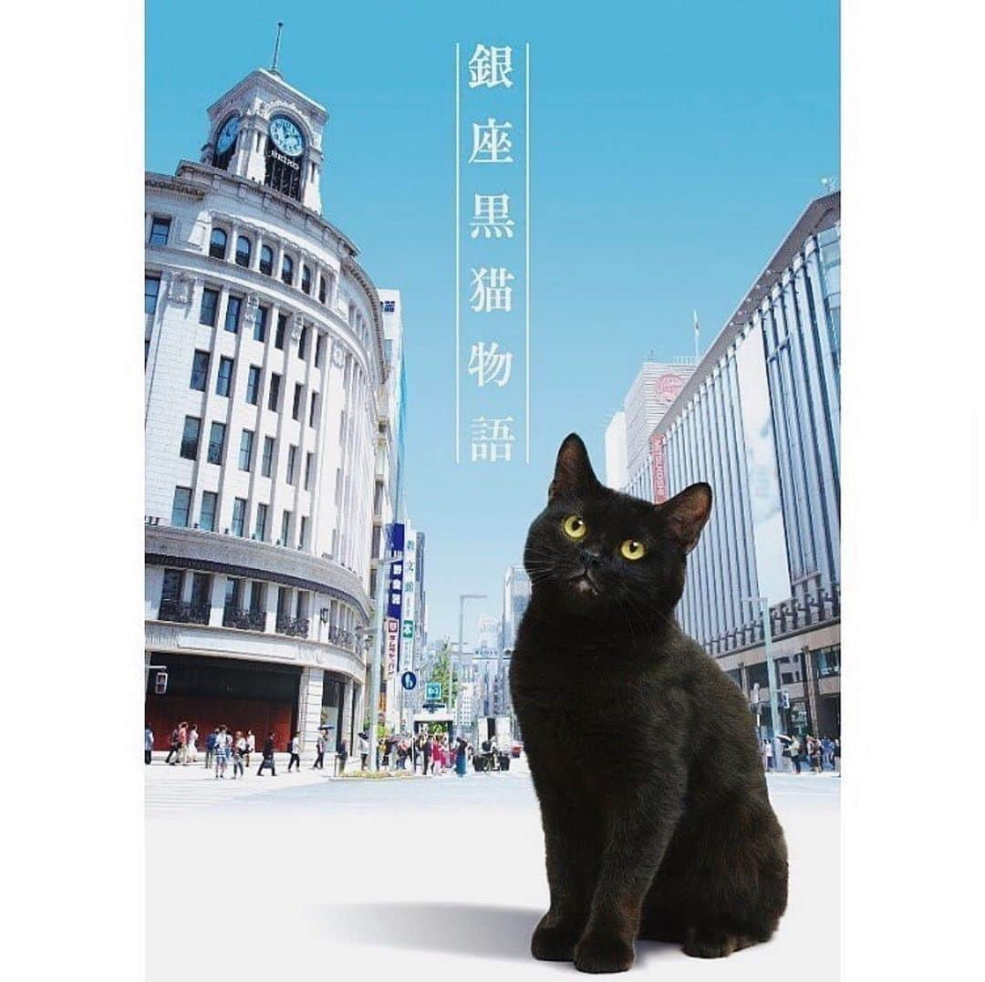 小西桜子さんのインスタグラム写真 - (小西桜子Instagram)「本日、カンテレ「#銀座黒猫物語」 第3話 はち巻岡田 編に 少しですが出演します。  TOKYO MX、カンテレドーガ、 Tver等でもご覧いただけますので、是非🐈」7月30日 21時39分 - sakurako_kns