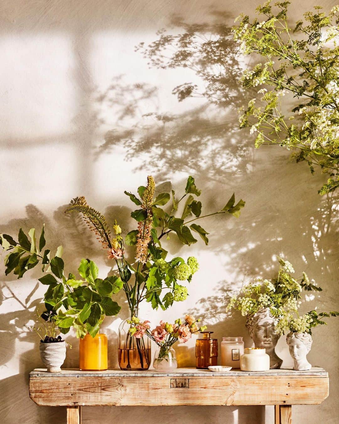 Anthropologieさんのインスタグラム写真 - (AnthropologieInstagram)「Fact: Surrounding yourself with greenery seriously improves your mood 🌿 Find freshly picked inspiration at @anthroliving and the link in our bio. #AnthroLiving」7月30日 22時02分 - anthropologie