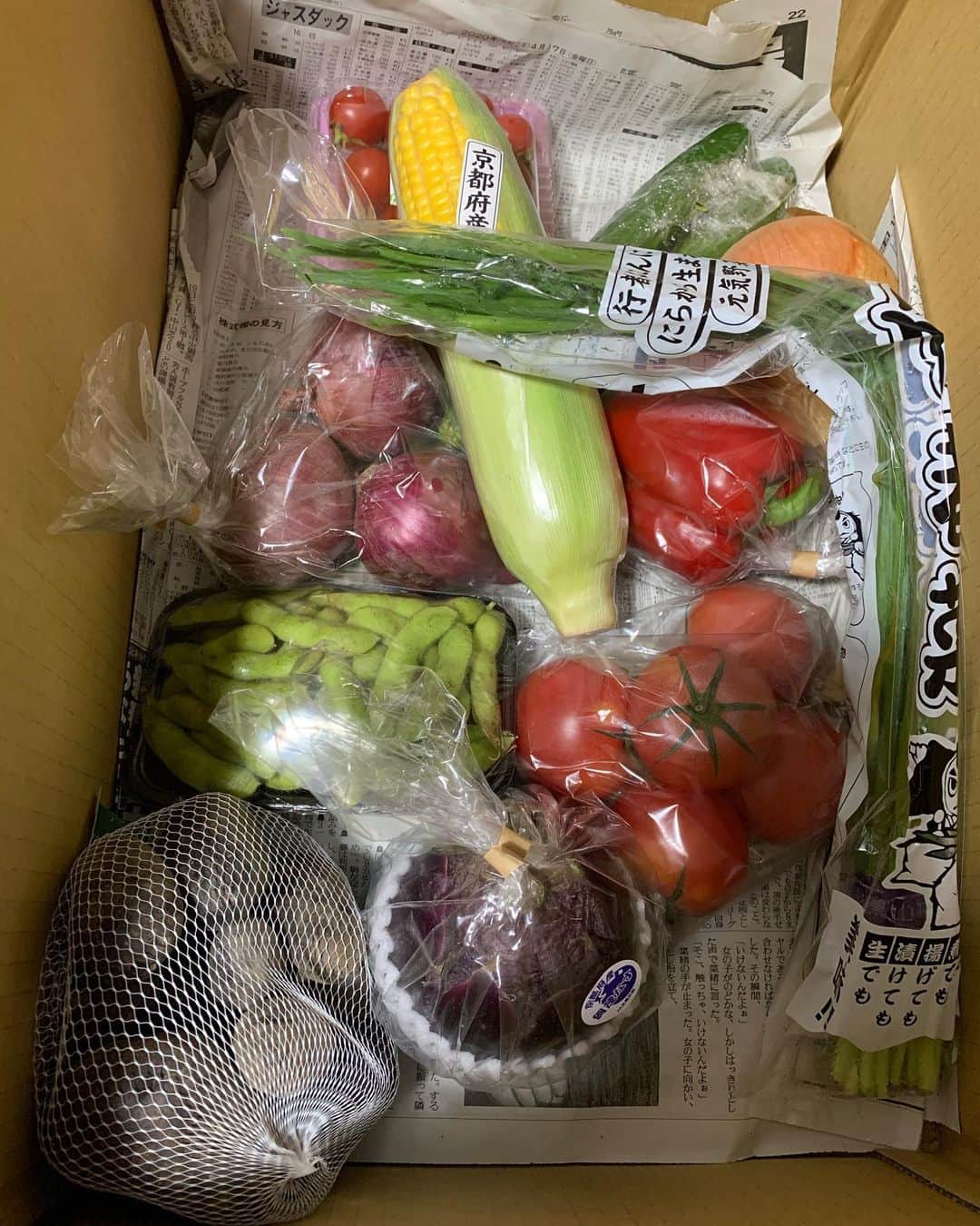 池田真一のインスタグラム：「僕の友達が特選野菜の定期便やってます！ 農家の皆さんの想いが詰まった新鮮な野菜を定期配送してくれて四季のお野菜を食べれますよー！ 今回も色々新鮮野菜が届きました！ ほんまに1回試しに頼んでみて欲しい☺️ 質問などあれば気軽に僕にメッセージ くださいな！ 神戸〜明石は送料無料です！  四季菜〜厳選の極み〜定期便 小売·販売 京都、淡路などの農家さんから新鮮な野菜たちを仕入れています ※1日20セット限定品 【引き取り場所】 神戸市西区櫨谷町福谷766-1 TEL : 078-335-6678」