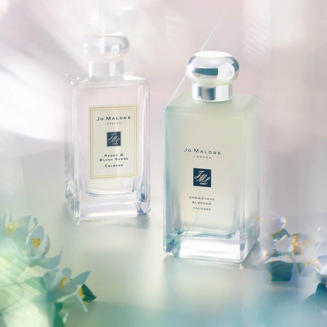 Jo Malone Londonさんのインスタグラム写真 - (Jo Malone LondonInstagram)「Experience the exotic scent of Osmanthus Blossom, a returning fragrant favourite. #DeclareYourScent #ScentPairing」7月30日 22時20分 - jomalonelondon