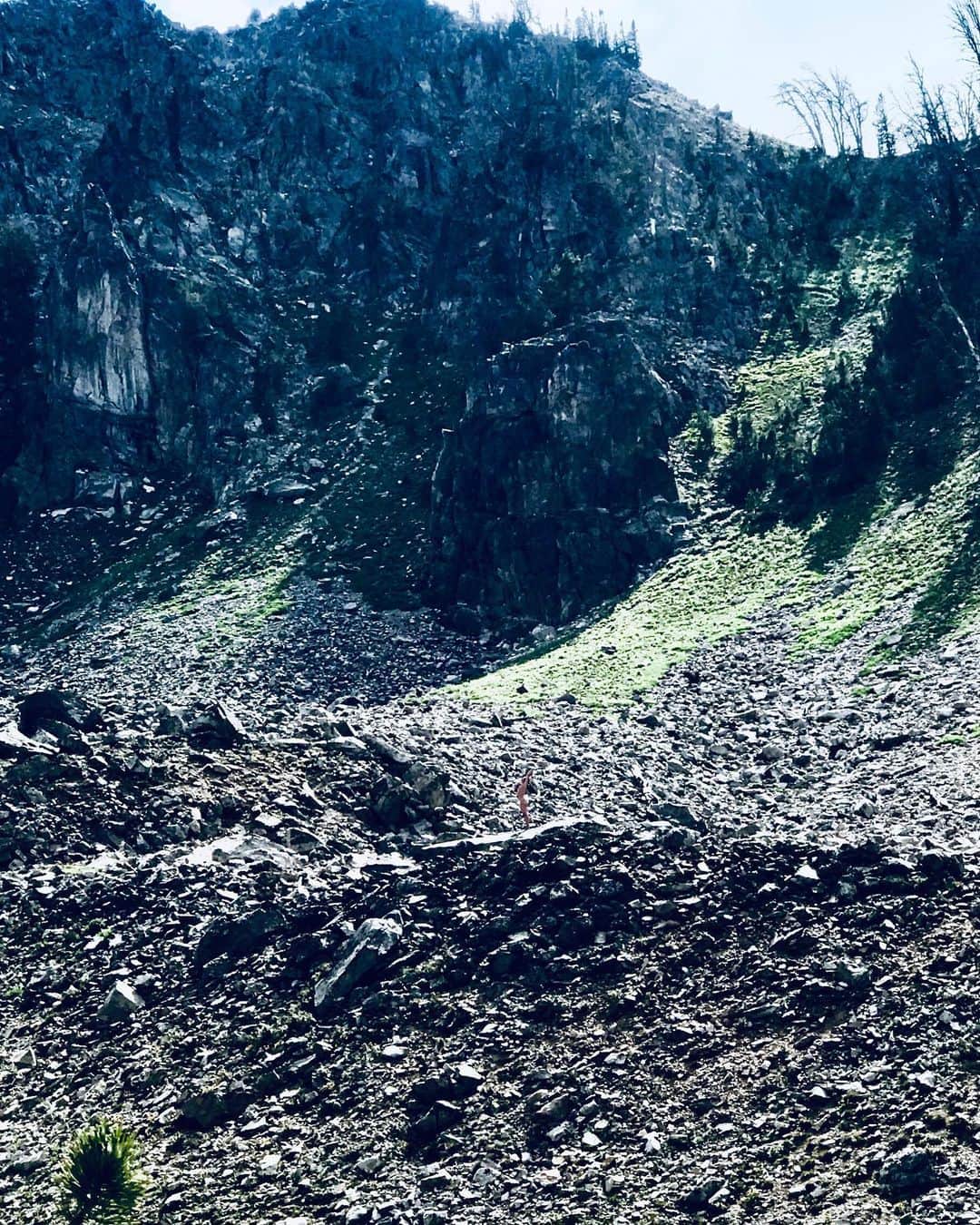 ミア・マエストロのインスタグラム：「ON THE VERGE OF THE VERGE  Metal kettle  Clay cup  Daisies laid on indigo   The weight of days Rests upon us  Each ounce of which  We can barely carry But we do   Come with me  Let’s lay and watch the lichen grow   It’s not so bad getting older  All this time I’ve been thinking  I’ve been doing it wrong   Only to discover  there is no it to do   This is the pace  In which  I slow   The white ash  Of daytime fire  Blows summer snow  In spirals that surround us   This is the sound of  bone on stone  When there is no separation  Our minerals converse  they know their origin   This is  The song of skin in dirt  Of a clay cup  Rising and falling with the tides of breath  Soft upon on my chest  This is how the wind wraps around my skin  And the sun sinks in  And the singular drop of rain  Drips onto my bottom lip   She is curled  at the ledge of the ridge  On the verge of the verge  Her song carries us across  the valley of the shadow   This is the voice  This is the song  This is the face  This is the body open raw real whole  That her mother will come know   She sings to Pines  and Columbines and Clover   She sings to moss that thrives alive On the barren bodies of dead and dying trees  Polished into holy spires  In this cathedral  Of the open YES  Christiana Musk 🖊  🖤 @christianamusk  To a lifetime of seeing each other 🙏🏻」