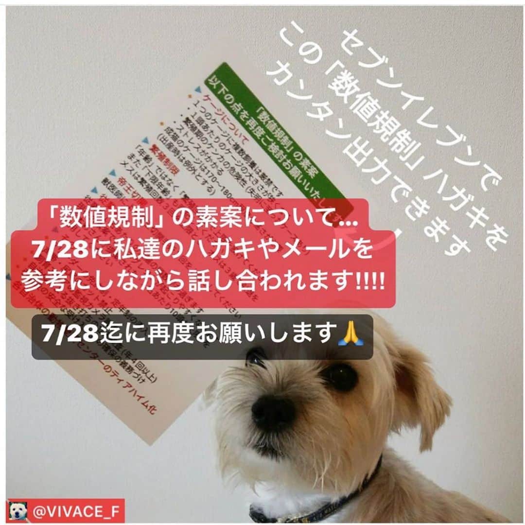shibainu berryさんのインスタグラム写真 - (shibainu berryInstagram)「先日投稿した数値規制、ハガキの方が効果有りだそうです❗️ 8月上旬まだ間に合います✨ 簡単なやり方をリポストさせて頂きます。  #Repost @hana_matsushima_animal with @get_repost ・・・ : 🔴ハガキアクションは、8月上旬まで 引き続きお願いします🙏🙏🙏 . . . 数値規制について… 重要なお知らせです‼️ . @vivace_f さんのリポストです。 . 7/28に超党派の動物愛護議員連盟PT (勉強会) で ｢数値規制｣ の素案について、私たちのハガキやメールの意見を参考にしながら話し合われるそうです。 . それまでに、特に❗️投稿元の⏹印の４議員(動物愛護に熱心な)へハガキを送って頂きたいです🙏 . よろしければ…全員に🙏 やはりハガキがとても有効だそうです🙏🙏🙏 . そこで… ｢セブンイレブン｣ のマルチコピー機から「数値規制ハガキアクション用｣ のハガキを簡単に出力できるように設定して頂きました。 是非❗️ご活用ください‼️ . . #花アニマル #声を届けられるのは今だけ  . . @vivace_f #Regram #Repost via @PackeDApp #PackeDApp ｢数値規制｣ の素案が穴だらけだったために、皆さん工夫されながら声をあげてくださっています。 様々なアクションのなかでも、｢ハガキは強く印象に残る (by 串田議員)｣ そうです。 とはいえ、ハガキアクションって結構大変ですよね✍🏻💦 私は腱鞘炎になりました。 . この度、｢セブンイレブン｣ のマルチコピー機から、｢数値規制ハガキアクション用｣ のハガキを簡単に出力できるように設定しました。 少しでもラクしたい方は、ぜひご活用ください。 . １枚につきプリント代60円かかります。 出力できるのは７月31日迄とさせていただきます🙏🏻 . 📮 ハガキの送り先 📮 . 小泉大臣・長田室長・動物愛護に熱心な議員４名・検討会委員の７名へ、送ってください🙏🏻 お時間が無い方は小泉大臣と長田室長だけでも効果的です。 ご自身のお名前や住所は、必ずしも書く必要はありません (ちなみに私はガッツリ書いてます)。 . 【小泉進次郎 環境大臣】 〒100-8981 東京都千代田区永田町2-2-1 衆議院第一議員会館 314号室 ⚠️数値規制に関する全ての決定権を持っている . 【環境省 動物愛護管理室／長田 啓室長】 〒100-8975 東京都千代田区霞が関1-2-2 中央合同庁舎５号館 自然環境局 総務課 動物愛護管理室 ⚠️長田室長は ｢数値規制｣ を取りまとめるキーパーソン . 【動物愛護に熱心な議員４名】 超党派の動物愛護議員連盟PT (勉強会) で ｢数値規制｣ の素案について、私たちのハガキやメールの意見を参考にしながら話し合われます。  ７月28日に行われる予定なので、それまでに⏹印の４議員へハガキを送ることをオススメします。 . ⏹串田誠一 衆議院議員 (日本維新の会) 〒100-8981 東京都千代田区永田町2-2-1 衆議院第一議員会館 1009号室 . ⏹福島みずほ 参議院議員 (社民党) 〒100-8962 東京都千代田区永田町2-1-1 参議院議員会館 1111号室 . ⏹塩村あやか 参議院議員 (立憲民主党) 〒100-8962 東京都千代田区永田町2-1-1 参議院議員会館  706号室 . ⏹堀越啓仁 衆議院議員 (立憲民主党) 〒100-8982 東京都千代田区永田町2-1-2 衆議院第二議員会館 602号室 . 【数値規制の検討会委員７名】 ❶ 〒113-8657 東京都文京区弥生1-1-1 東京大学大学院 農学生命科学研究科 武内ゆかり 教授 ⚠️検討会の進行役。動物愛護部会のメンバーでもある . ❷ 〒130-8606 東京都墨田区江東橋3-3-7 一般財団法人 自然環境研究センター 戸田光彦 主席研究員 . ❸ 〒180-8602 東京都武蔵野市境南町1-7-1 日本獣医生命科学大学 獣医学部 獣医保健看護学科 水越美奈 准教授 ⚠️動物愛護部会のメンバーでもある . ❹ 〒108-8345 東京都港区三田2-15-45 慶應義塾大学大学院 法務研究科 磯部 哲 教授 . ❺ 〒120-0045 東京都足立区千住桜木2-2-1 帝京科学大学 生命環境学部 アニマルサイエンス学科 加隈良枝 准教授 . ❻ 〒391-0112 長野県諏訪郡原村17217-118 八ヶ岳中央農業実践大学校 佐藤衆介 畜産部長 . ❼ 〒160-0022 東京都新宿区新宿1-6-11 水野ビル６階 渋谷総合法律事務所 渋谷 寛 所長 . #世界基準の数値規制 #動物のための数値規制を #数値規制 #ハガキアクション #私たちにできること #SNSでできること #ペットショップに行く前に #里親になろう #環境省 #小泉進次郎 @christeltakigawa #保護犬 #いぬ #愛犬 #わんこ #わんすたぐらむ #保護猫 #ねこ #愛猫 #にゃんこ #にゃんすたぐらむ」7月30日 23時11分 - shibainu.berry