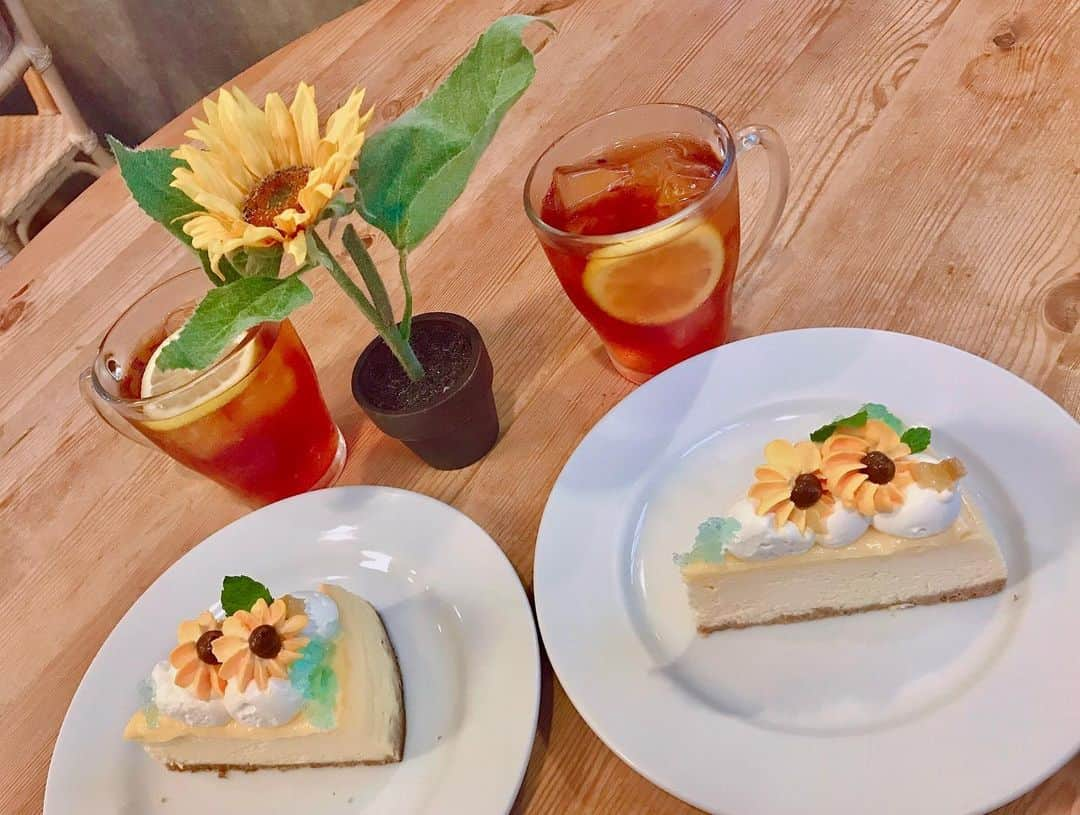 寺山葵のインスタグラム：「続けて投稿。  【Sunday Brunch】in.下北沢に行ってきました🌻🌈✨  ヒマワリをイメージしたチーズケーキ🧀✨ 甘酸っぱくて、さっぱりとしたケーキでした✨ レモンティーで夏らしい口当たり🍋✨  何を言ってもこのヒマワリの可愛らしさに食べるのが勿体なかったです😂💕✨笑笑  店内もオシャレで素敵な雰囲気でした❤️✨  オシャレな店内でゆったりと語れる時間っていいですよね🎶✨  笑ってばかりの楽しい時間でした🍀✨  #sundaybrunch #サンデーブランチ #下北沢 #吉祥寺 #下北沢カフェ #吉祥寺カフェ #チーズケーキ #レモンティー #cheesecake #lemontea #cafe #tea #ひまわり #ヒマワリ #向日葵 #sunflower」