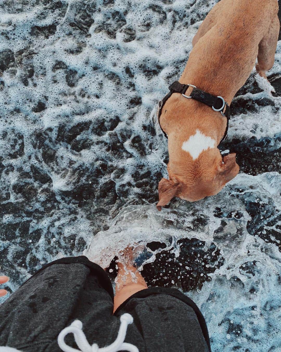 Fabiolla Takinamiのグルメインスタ