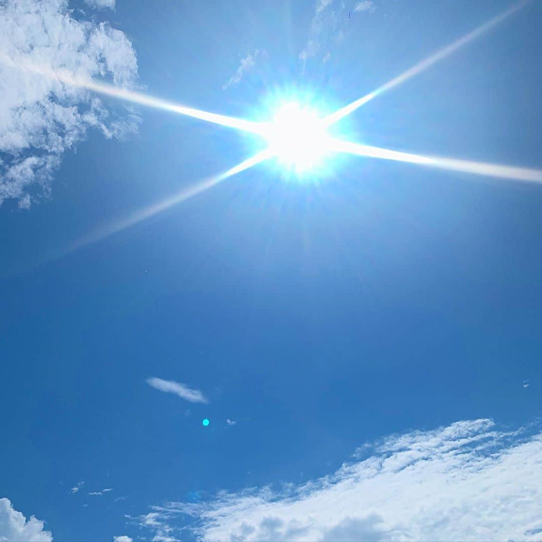 ノーマさんのインスタグラム写真 - (ノーマInstagram)「束の間の太陽が与えてくれる喜び。 1億4960万km離れた彼方より。  #sunny #sun #太陽 #earthscience」7月30日 23時49分 - noma77777