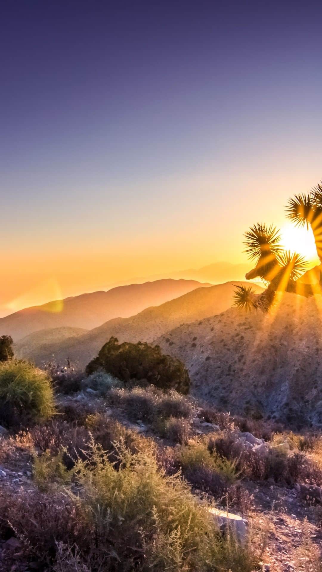 Lonely Planetのインスタグラム：「This California national park feels like you've traveled to another planet...」