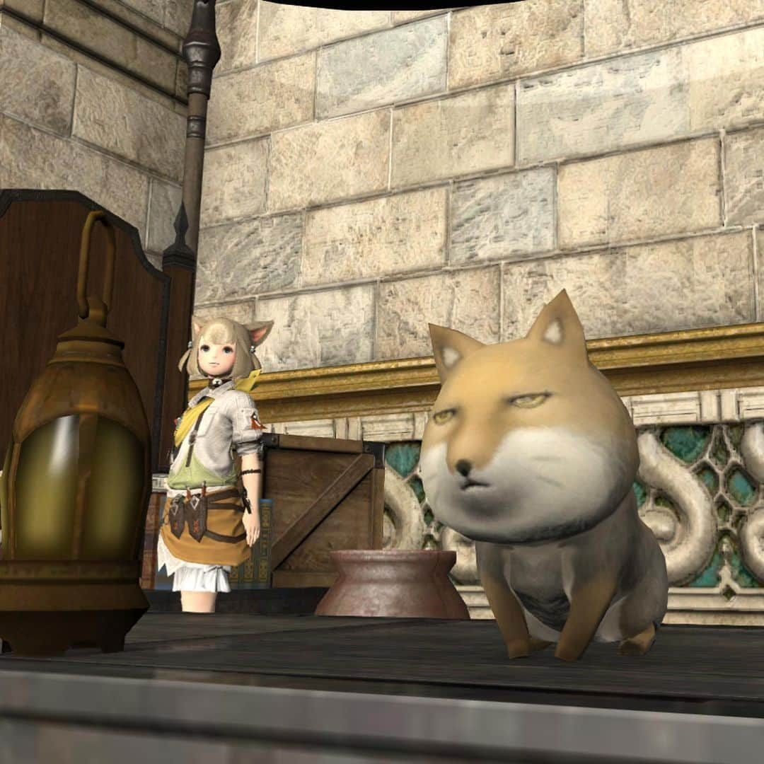 FINAL FANTASY XIVさんのインスタグラム写真 - (FINAL FANTASY XIVInstagram)「#FFXIV Patch 5.3 is arriving soon! Introducing 🦊Faux Hollows, ✈️ A Realm Reborn overhaul, 🌟 new mounts and minions, and more! Which of these are you most excited about? #FF14」7月31日 0時26分 - ffxiv