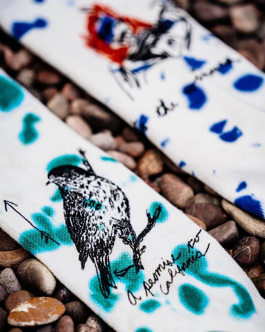 Stanceのインスタグラム