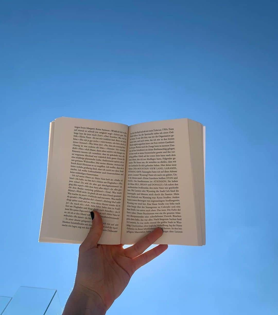 キャロライン・ダウルさんのインスタグラム写真 - (キャロライン・ダウルInstagram)「A fictional sunshade, pun intended 📖🌤(reading „Alle Toten Fliegen Hoch“ by Joachim Meyerhoff, 10/10 recommendation)」7月31日 0時46分 - carodaur