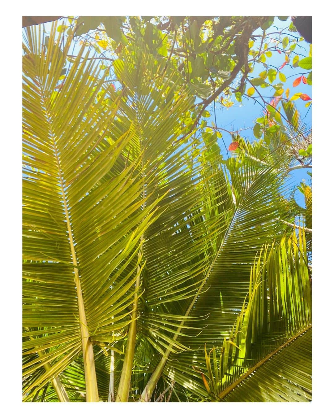 ジュリアナ・パエスさんのインスタグラム写真 - (ジュリアナ・パエスInstagram)「See trough this point of view... there are so many special people in the world 🎼」7月31日 0時57分 - julianapaes