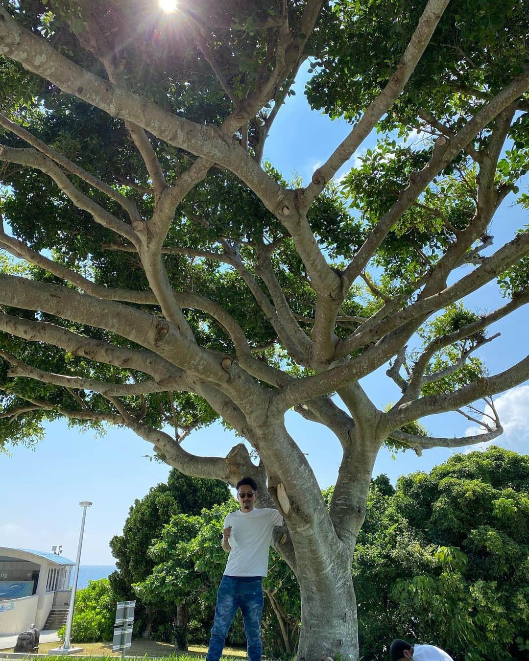 宮代東生のインスタグラム：「沖縄家族旅行に行ってきました。 Go Toキャンペーンを期待して予約したものの、東京都除外、、、 だが行く。 家族でのんびりさせて頂きました。 まだまだコロナ真っ只中。 たまに息継ぎ必要かと思う。 みんなで金稼ごう！コロナと上手く付き合うしかない。  #沖縄旅行  #ルネッサンスリゾートオキナワ  #ガジュマルの木 #多幸の木ガジュマル  #ちゅらうみ水族館  #イルカと泳ぐ  #こどものいる暮らし  #家族旅行 #コロナに負けるな」