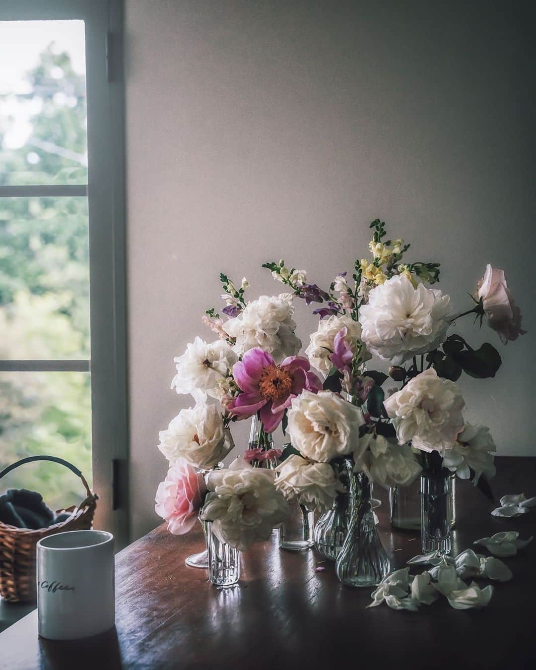 柳澤麻衣のインスタグラム：「White roses in my garden✨ 庭の白バラ」
