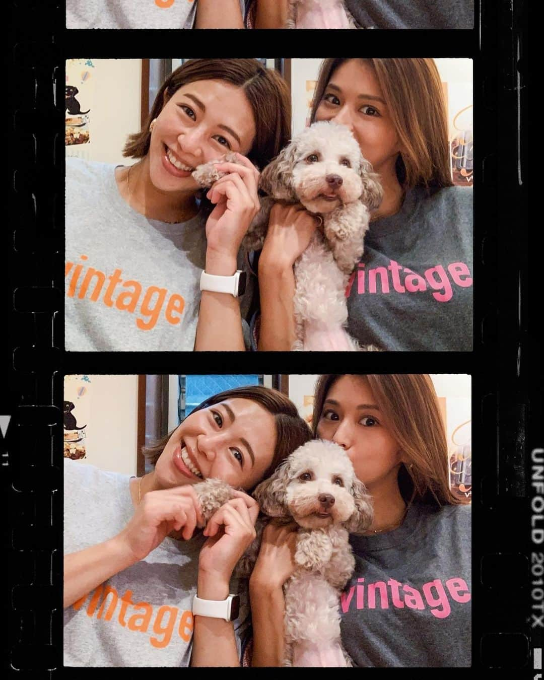 吉田夏海さんのインスタグラム写真 - (吉田夏海Instagram)「ゆんとボタと会えた日🧡🧡🧡﻿ ﻿ Lit teeもおそろ🥰﻿ ﻿ #tokyo﻿ #lunch﻿ #dog﻿ #litvintagetee ﻿ ﻿」7月31日 14時11分 - natsumiiiiiiiiiii