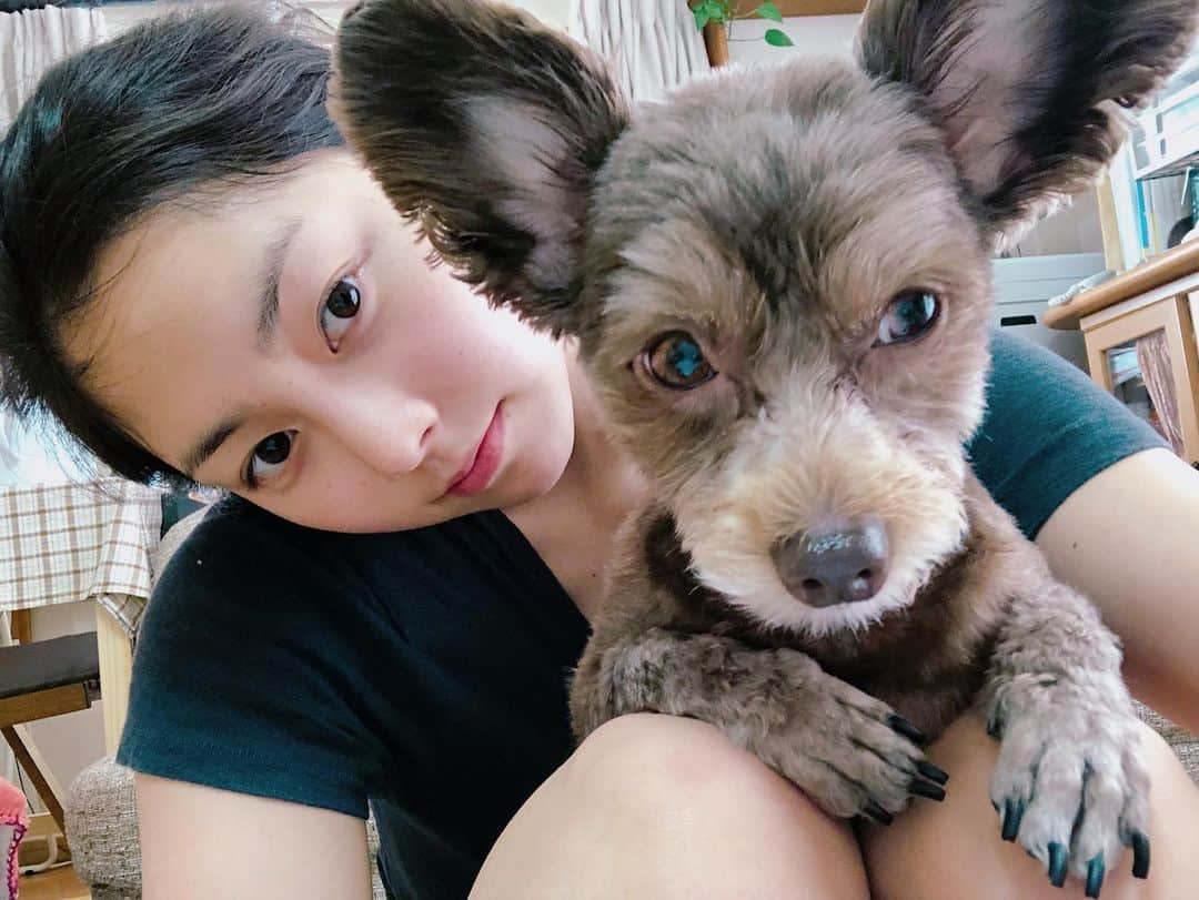 尾島知佳のインスタグラム：「🐶わたちの定位置はお姉ちゃんのお膝の上よ❤︎ 👩🏻やめてえええ、邪魔しないでえ笑  最近のベルとわたしのやりとり🤣 可愛すぎて離れられません💦 #愛犬との暮らし #実家暮らし #ちわぷー #ベル #手がたまらない #犬のいる暮らし #毎日が楽しい #親バカ #愛犬家」