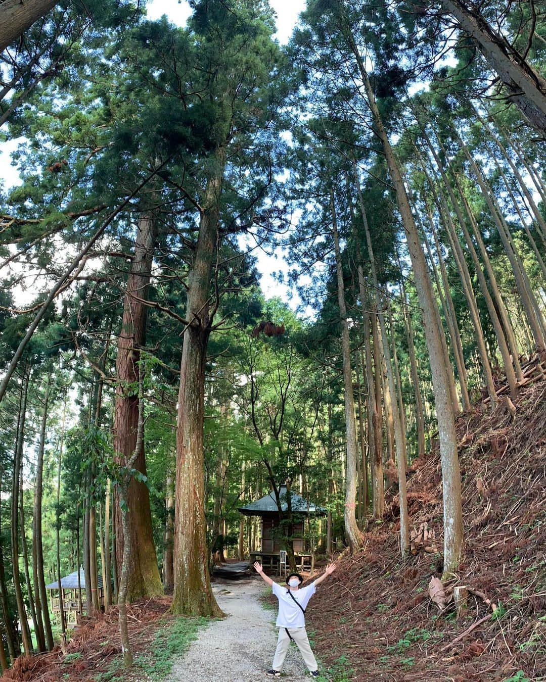 空道太朗のインスタグラム：「. 大森林に大興奮🙈 #奈良 #吉野」