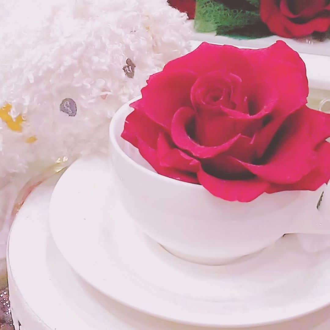 こぎみゅん（サンリオ）のインスタグラム：「みゅ〜ん♪ ティータイムだみゅん･･🌹  #サンリオ #キャラクター #小麦粉の妖精 #こぎみゅん #sanrio #character #cogimyun #3時のおやつ #お茶会」