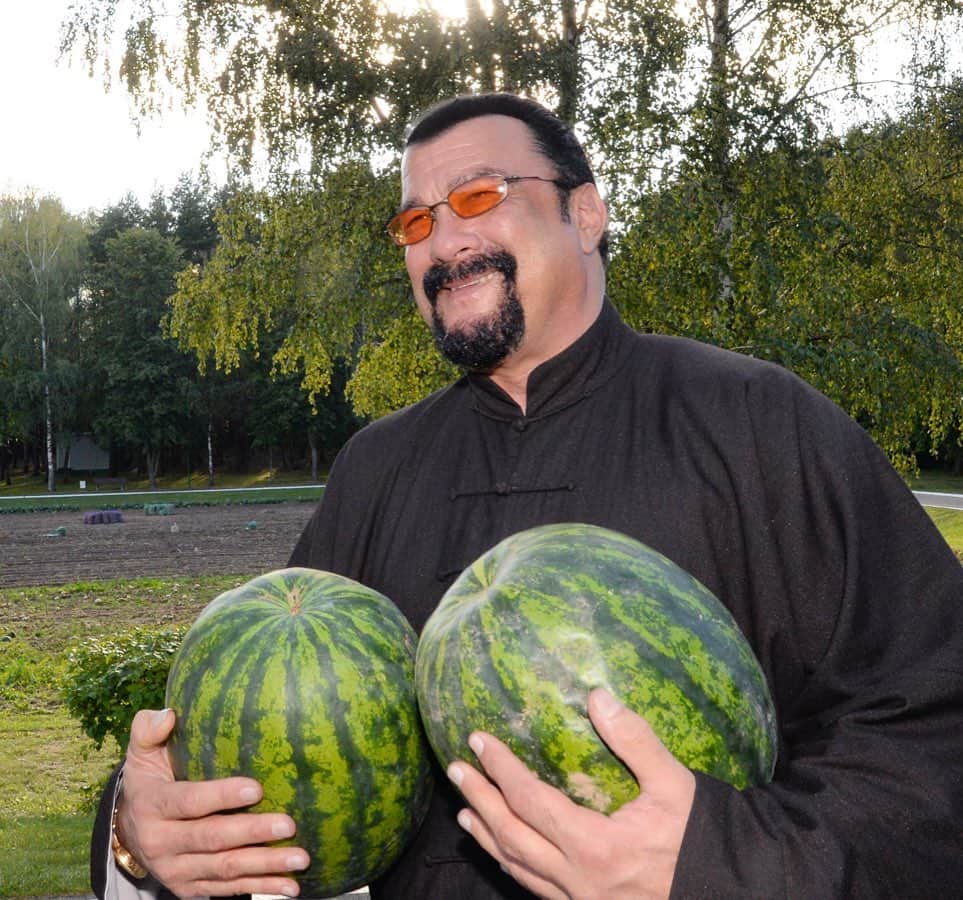 セス・グリーンのインスタグラム：「Here’s a joyful Steven Seagal holding watermelons, in case your day was needing that.  Also visit @breckinmeyer ‘s page to see the inspiration.  #watermelonwatermelonwatermelon  #WearAMask #arrestthecopswhokilledbreonnataylor」