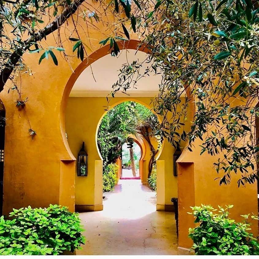 サッチン+バビさんのインスタグラム写真 - (サッチン+バビInstagram)「The Jnane Tamsna boutique hotel in Marrakech blends Meryanne Loum-Martin’s enchanting interior and event design genius, and Gary Martin’s sublime nine-acre garden. It is on the list of places to go. 2021 will be exhausting😉. - #inspiration #instatravel #jnanetamsna」7月31日 7時22分 - sachinandbabi