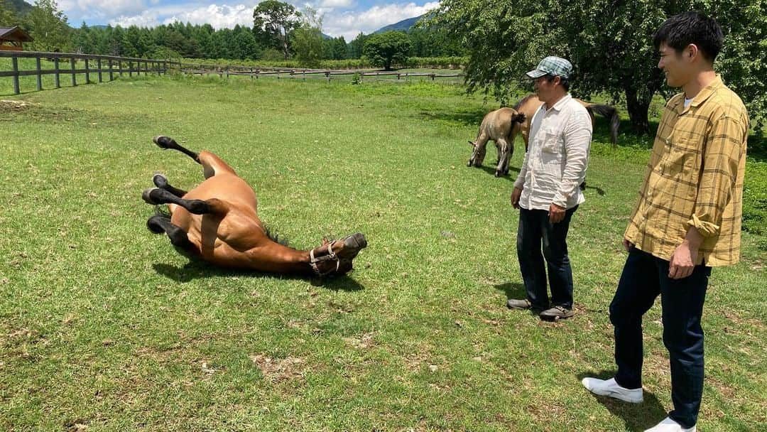 TBS「世界ふしぎ発見！」さんのインスタグラム写真 - (TBS「世界ふしぎ発見！」Instagram)「こちらの無防備なお馬さんたち、実は古代日本を担ってきたすごい実力派なんです！  しかも、ヨロイの古墳人の謎を解く 重要な手掛かりだというのですが…⁉️  明日夜9時、必見🐴⚡️  #ふしぎ発見」7月31日 7時49分 - fushigi_hakkenad