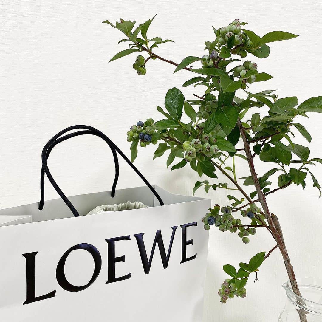 のインスタグラム：「ㅤㅤㅤㅤㅤㅤㅤㅤㅤㅤㅤㅤㅤㅤ ブ ル ｜ ベ リ ｜ と #loewe」