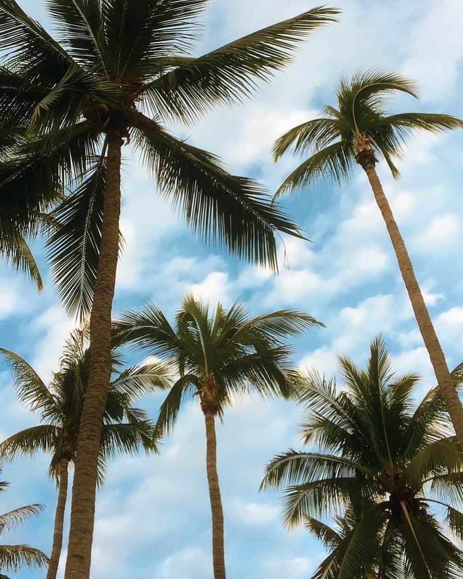 ブルーライフのインスタグラム：「Nothing beats a Cali sky 🌴#shopplanetblue #californiasky」