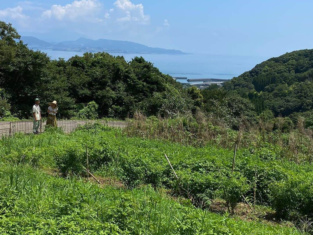 青山有紀さんのインスタグラム写真 - (青山有紀Instagram)「新作酵素シロップのメインになったのは天草の河内晩柑。いつもお世話になっている馬場さん @amakusa_yasai が収穫してくれた自然栽培の晩柑です✨ 馬場さんは農薬、化学肥料、動物性堆肥、微生物資材を使わない畑で、全ての基となる土を大切に育てていて、アレルギーの方も安心して食べられる野菜作りをされてます💫💫💫最後の写真は3年前、天草で馬場さんが主催してるバーベキューに行った時の。だいすきな鮑が食べ放題で夢かと思った😭❣️ こんな素晴らしいところで育った河内晩柑です🧡美味しくてパワフルに決まってる🧡✨✨✨」7月31日 10時06分 - yukiaoya