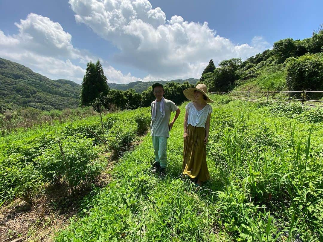 青山有紀さんのインスタグラム写真 - (青山有紀Instagram)「新作酵素シロップのメインになったのは天草の河内晩柑。いつもお世話になっている馬場さん @amakusa_yasai が収穫してくれた自然栽培の晩柑です✨ 馬場さんは農薬、化学肥料、動物性堆肥、微生物資材を使わない畑で、全ての基となる土を大切に育てていて、アレルギーの方も安心して食べられる野菜作りをされてます💫💫💫最後の写真は3年前、天草で馬場さんが主催してるバーベキューに行った時の。だいすきな鮑が食べ放題で夢かと思った😭❣️ こんな素晴らしいところで育った河内晩柑です🧡美味しくてパワフルに決まってる🧡✨✨✨」7月31日 10時06分 - yukiaoya