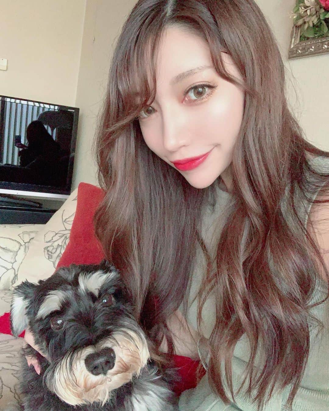 のインスタグラム：「. 我が家のアイドル辰之助🐶💙 写真嫌いなのに珍しくツーショット撮ってくれたから載せるしかない📸 . . #miniatureschnauzer #たつのすけ #犬バカ部 #love #💙」