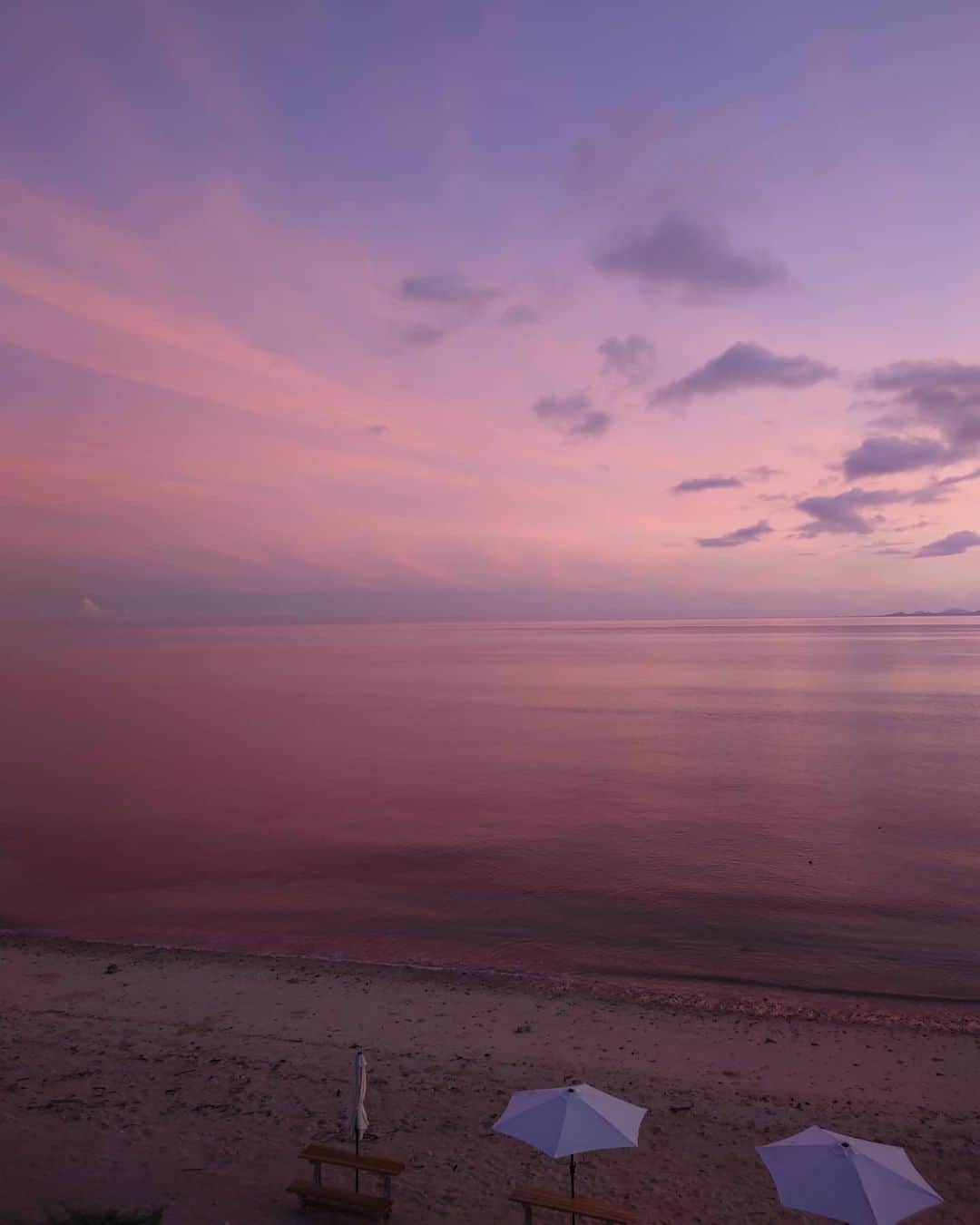 平アスカさんのインスタグラム写真 - (平アスカInstagram)「【ピンクの海】 早起きして見れる空と海の色は特別。 #朝焼け #朝日 #ピンクの海と空 #Xperia」7月31日 10時41分 - asucataira