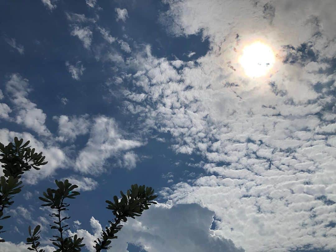 アキ（荒木良明）のインスタグラム：「梅雨明け。 いろいろ明けて行きたいね。 この雲の量やったら〜 https://youtu.be/aOIi1UZfln4  #新喜劇アキ」