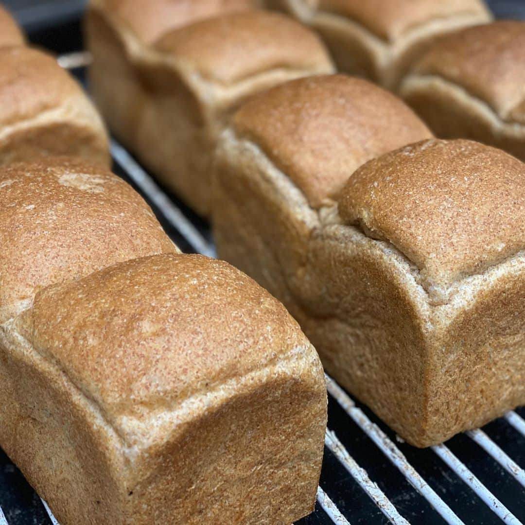 魔女菅原のグルメインスタ