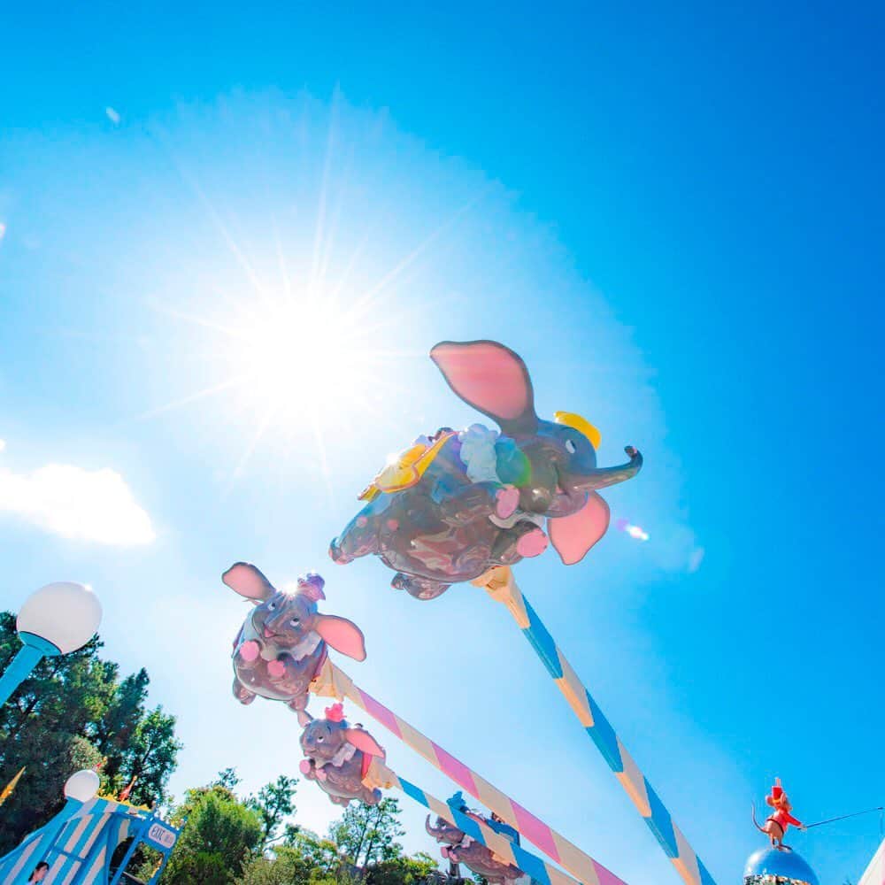 のインスタグラム：「Let's fly high in the sky with Dumbo! さぁ、空の旅を楽しもう☁️✨ #dumbotheflyingelephant #fantasyland #tokyodisneyland #tokyodisneyresort #timothyqmouse #bluesky #空飛ぶダンボ #ファンタジーランド #東京ディズニーランド #東京ディズニーリゾート #ティモシーマウス #青空」
