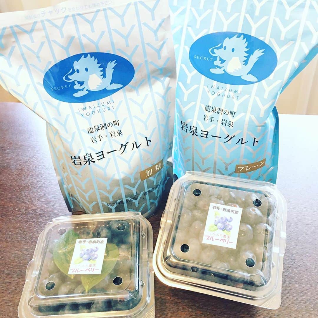 蒲生麻由のインスタグラム：「友人に頂いてから家族みんな大好きになりリピートしてる岩泉ヨーグルトとブルーベリー❣️  今まで食べてたヨーグルトとは一味も二味も違う、まるでモッツァレラチーズのようにトロッとしていて濃厚で病みつきになる美味しさ！ 毎日スムージーにしたり、凍らせたブルーベリーとハチミツと一緒に頂いたりと、我が家の朝食の主役です‼️  #最近のヒット #岩泉ヨーグルト #家族みんな大好き #次男はスムージーにして #毎日飲んでたら #次男の便秘が解消 #朝食の主役#mamalife #ブルーベリーが好き」