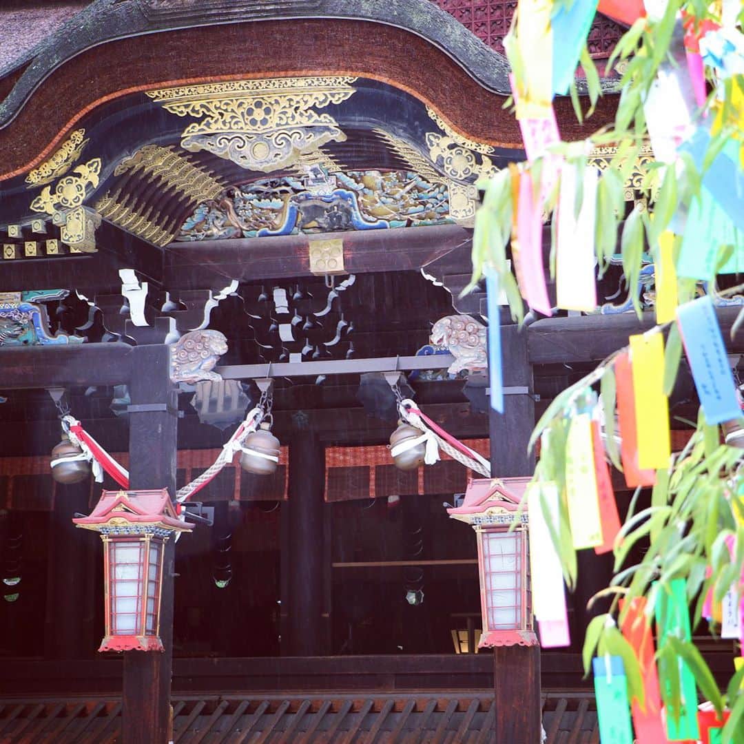 テレビ大阪「おとな旅あるき旅」さんのインスタグラム写真 - (テレビ大阪「おとな旅あるき旅」Instagram)「明日のおとな旅あるき旅は、涼を求めて夏の京都へ！妙心寺から北野天満宮、そして川床で有名な高雄へ足を延ばします。  酷暑の中でも涼しげな景色やグルメを求めて、ぶらり。お楽しみに！  明日 8/1(土)18:30〜  そして！おとな旅のあとは、今週も夏祭りSP！過去の花火映像満載の「なにわ淀川花火大会 傑作選」、20時〜は「大阪人の新常識 OSAKA  LOVER」と連続でお届けします！  #おとな旅あるき旅#テレビ大阪#三田村邦彦#坂本七菜#京都#妙心寺#北野天満宮#高雄#退蔵院#川床#京の七夕#冷やし豆腐#うなぎ」7月31日 13時54分 - tvo.otonatabi