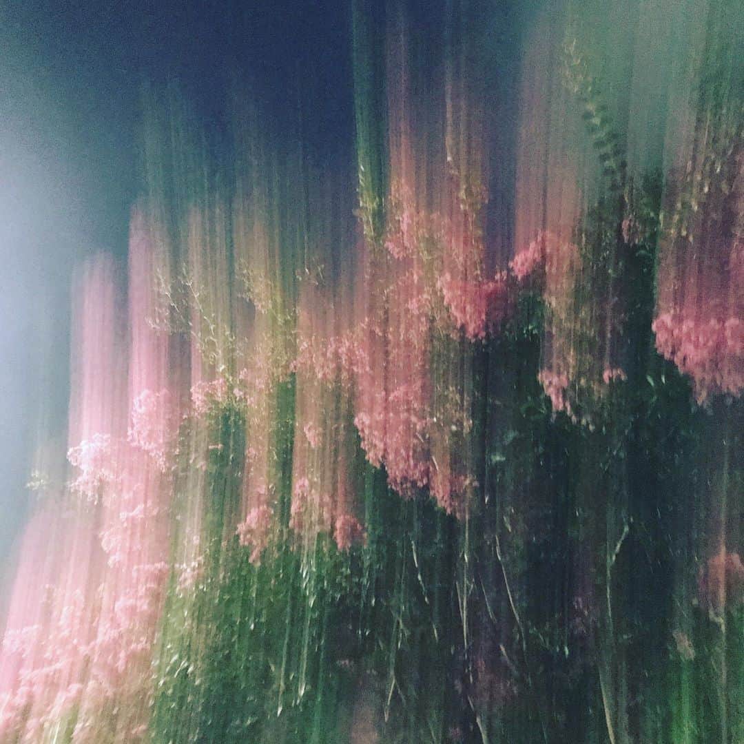 椎名直子さんのインスタグラム写真 - (椎名直子Instagram)「さくらんぼ とうもろこし ウォーキング  夏夜」7月31日 23時27分 - natadecoco