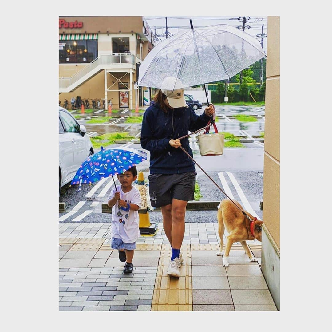 富田真紀子さんのインスタグラム写真 - (富田真紀子Instagram)「梅雨よ早くあけてくれ。 もう7月終わっちゃうよ😳😳 #肩の固定が外れて #ななの散歩ができるようになった #ななのいる生活」7月31日 23時28分 - makikotommy